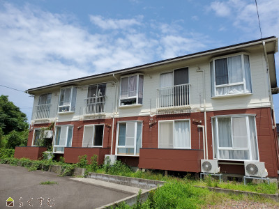 ハイツドルフィン